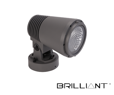 REFLECTOR LANDSCAPE 01